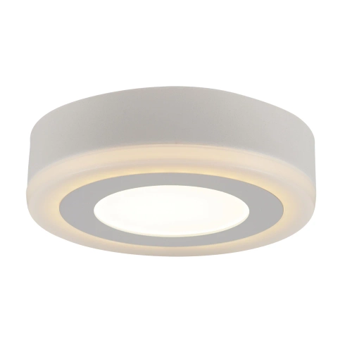 Купить Потолочный светильник Arte Lamp ANTARES A7809PL-2WH