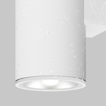 Уличный настенный светильник Outdoor O303WL-L24W3K