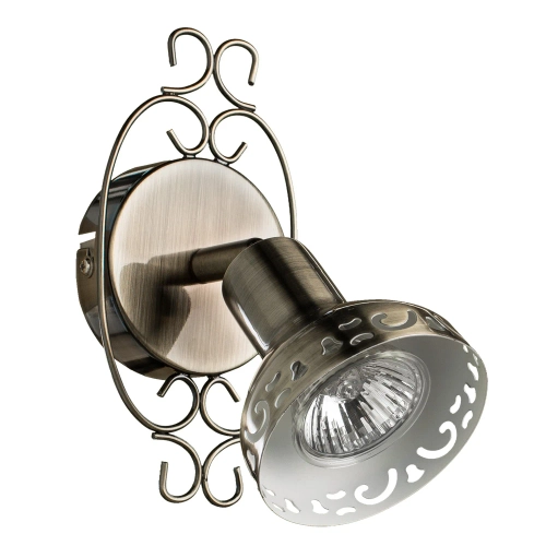 Купить Спот Arte Lamp FOCUS A5219AP-1BR