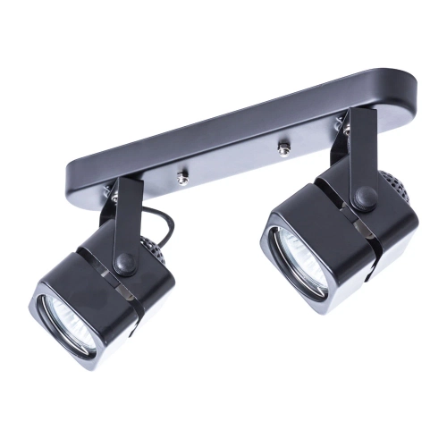 Купить Спот Arte Lamp MISAM A1315PL-2BK