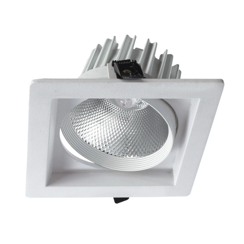 Купить Карданный светильник Arte Lamp PRIVATO A7018PL-1WH