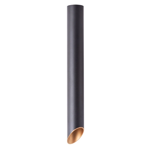 Купить Точечный накладной светильник Arte Lamp PILON-GOLD A1537PL-1BK