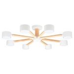 Потолочная люстра Arte Lamp TENDA A1624PL-8WH