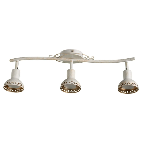 Купить Спот Arte Lamp FOCUS A5219PL-3WG