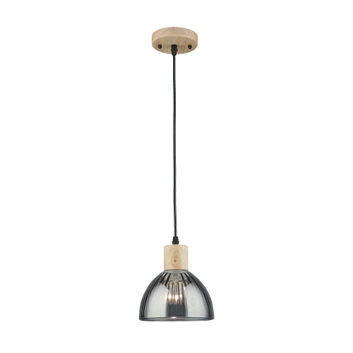 Купить Подвесной светильник Arte Lamp LANCASTER A5869SP-1BK