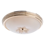 Потолочный светильник Arte Lamp VASSOIO A9205PL-5GO