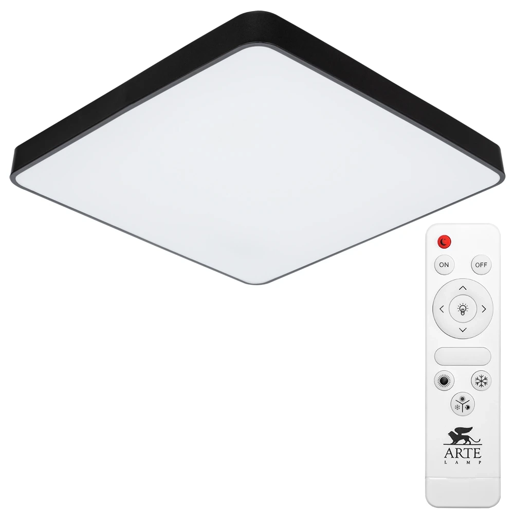 Потолочный светильник Arte Lamp SCENA A2669PL-1BK