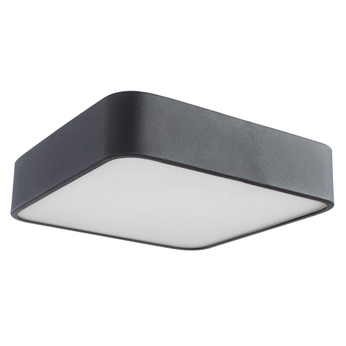 Купить Потолочный светильник Arte Lamp COSMOPOLITAN A7210PL-2BK