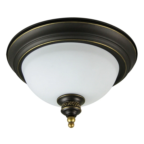 Купить Потолочный светильник Arte Lamp BONITO A9518PL-2BA