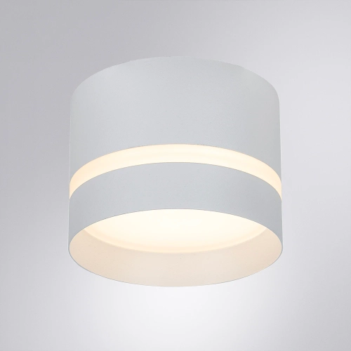 Купить Точечный накладной светильник Arte Lamp IMAI A2265PL-1WH