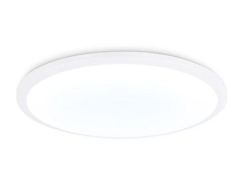 Купить FZ1232 WH белый IP44 48W 6400К D450*55 (Без ПДУ)