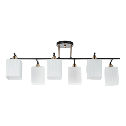 Купить Потолочная люстра Arte Lamp MEROPE A4071PL-6BK