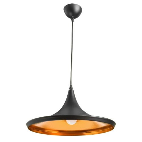 Купить Подвесной светильник Arte Lamp CAPPELLO A3406SP-1BK