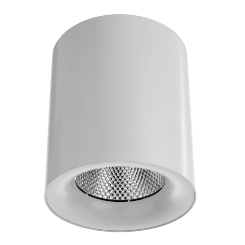 Купить Точечный накладной светильник Arte Lamp FACILE A5130PL-1WH