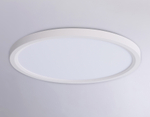 FZ1909 WH белый IP54 44W 3000K-6500K CCT-переключатель D600*25 (Без ПДУ)