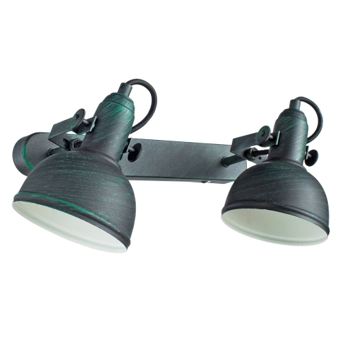Купить Спот Arte Lamp MARTIN A5213AP-2BG