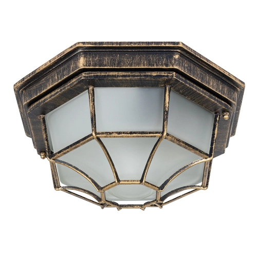 Купить Уличный потолочный светильник Arte Lamp PEGASUS A3121PF-1BN