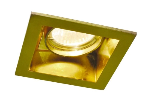 Купить Точечный встраиваемый светильник Arte Lamp TECHNIKA A8050PL-1GO
