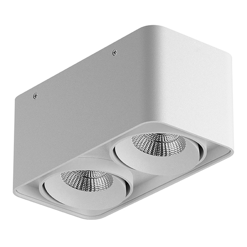 Купить 052126-IP65 Светильник MONOCCO LED 2х10W 1200LM 30G БЕЛЫЙ 4000K