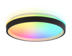 FZ610 BK/GD черный/золото IP20 66W 3000K-6500K+RGB D490*85 (ПДУ ИК)