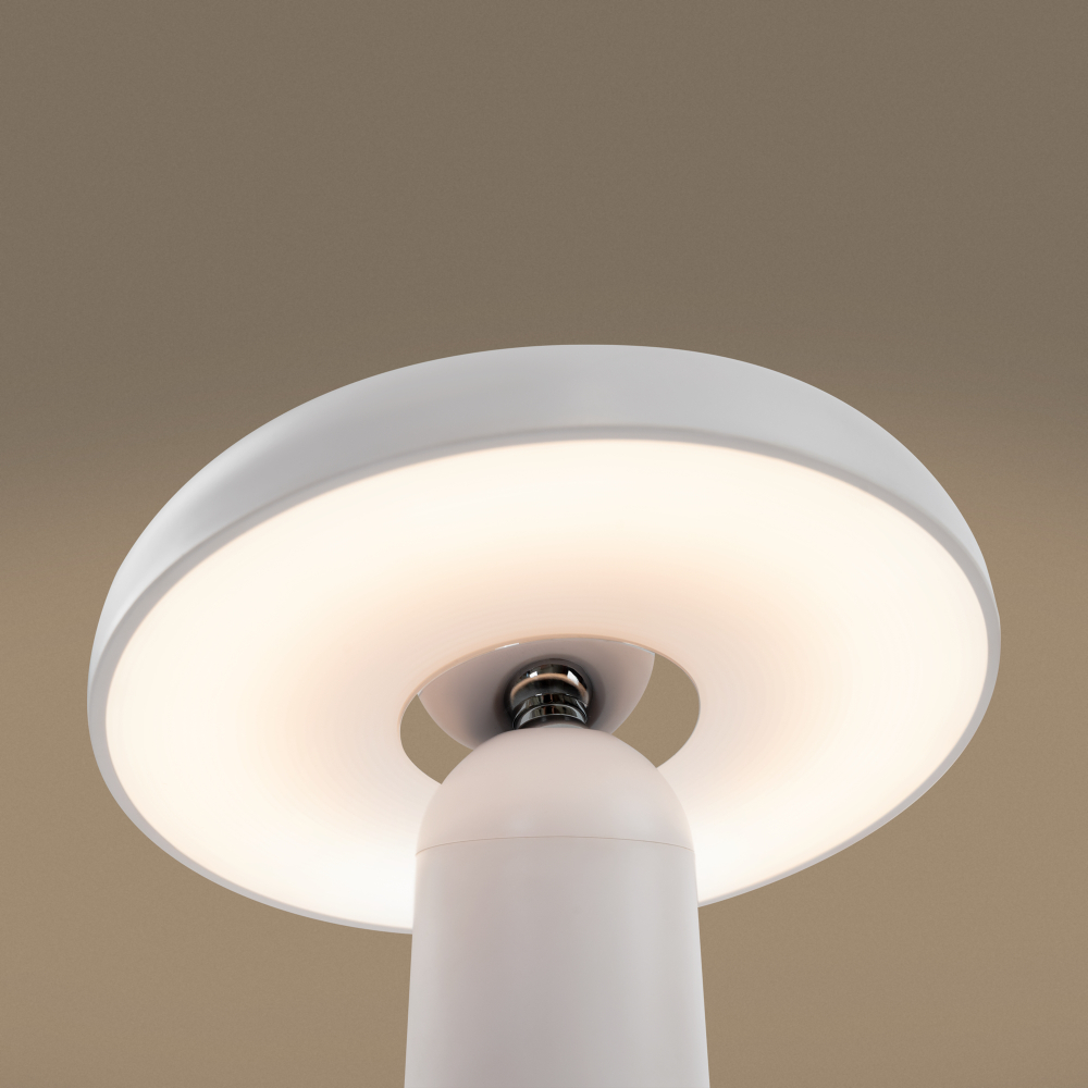 Аккумуляторный светильник Freya FR6109TL-L4W