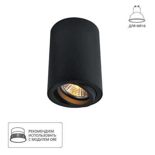 Купить Точечный накладной светильник Arte Lamp SENTRY A1560PL-1BK