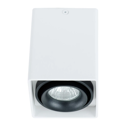 Купить Точечный накладной светильник Arte Lamp PICTOR A5655PL-1WH