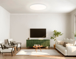 FZ2003 WH белый IP54 30W 3000K-6500K+RGB Wi-Fi Алиса/Tuya/Smart Home/Alexa D450*60 (ПДУ ИК)
