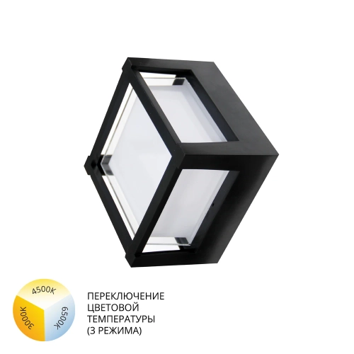 Купить Уличный потолочный светильник Arte Lamp ULYSSES A6406PF-1BK