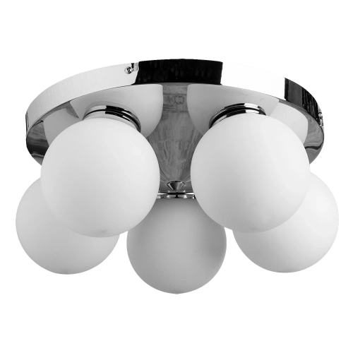 Купить Потолочная люстра Arte Lamp AQUA A4445PL-5CC