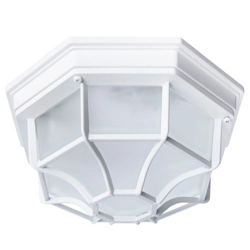 Купить Уличный потолочный светильник Arte Lamp PEGASUS A3100PL-1WH