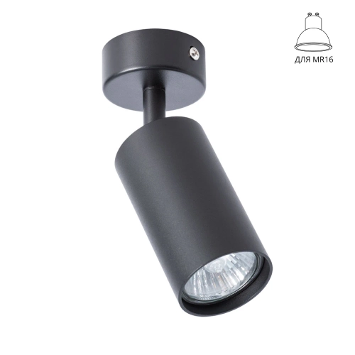 Купить Спот Arte Lamp AQUARIUS A3216PL-1BK