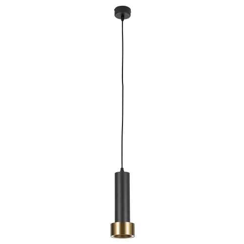 Купить Подвесной светильник Arte Lamp RAN A3147SP-1BK