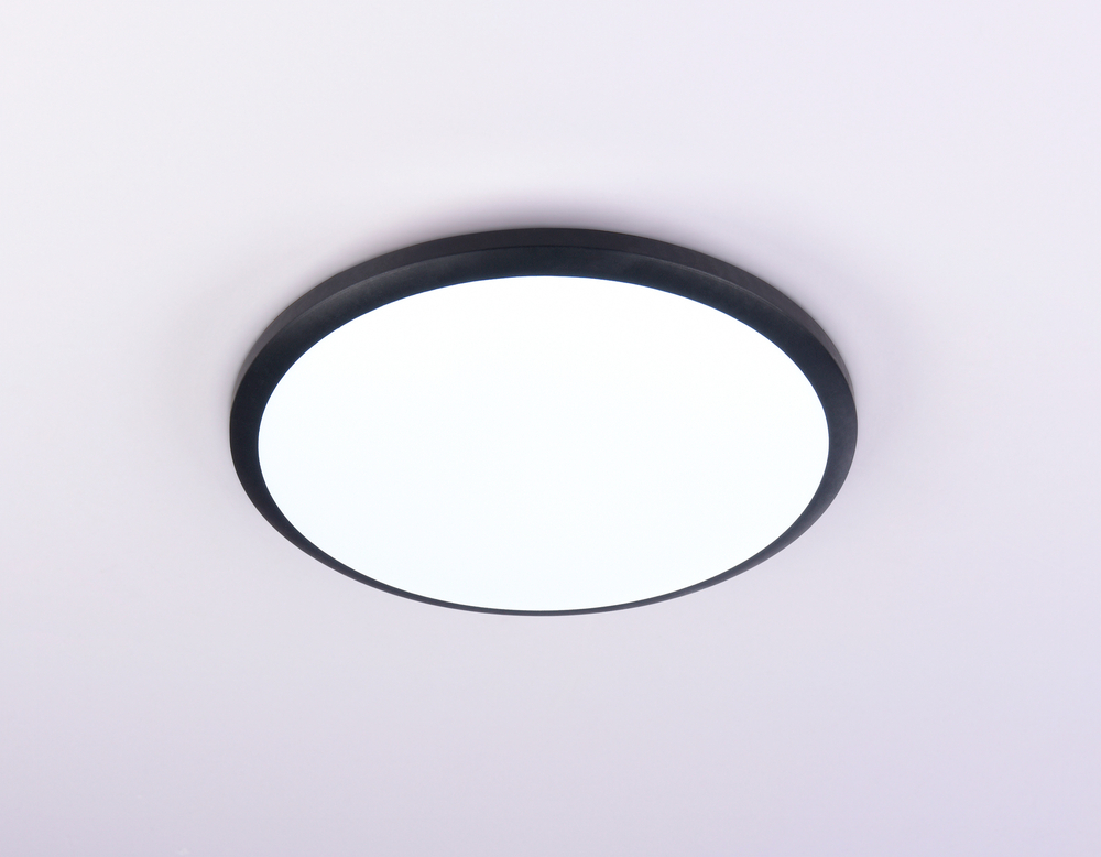 FZ1233 BK черный IP44 22W 6400К D260*55 (Без ПДУ)