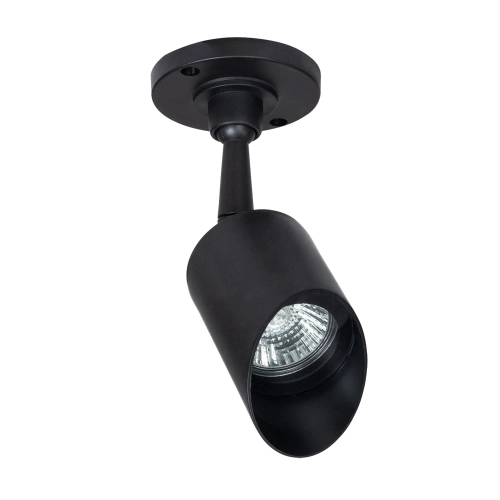 Купить Уличный потолочный светильник Arte Lamp ELSIE A1022AL-1BK