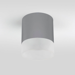 Уличный потолочный светильник Light LED 2107 IP54 35140/H серый