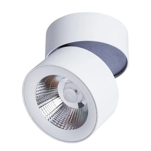 Купить Спот Divinare URCHIN 1295/03 PL-1