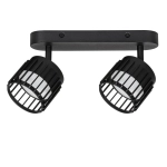 Спот Arte Lamp ATRIA A8031PL-2BK