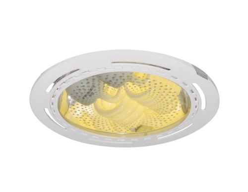 Купить Точечный встраиваемый светильник Arte Lamp DOWNLIGHTS A8075PL-2WH