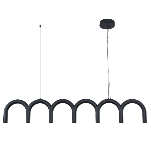 Купить Подвесной светильник Arte Lamp WARHOL A3258SP-45BK
