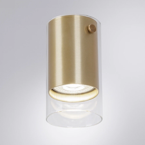 Купить Точечный накладной светильник Arte Lamp LAZIO A5365PL-1SG