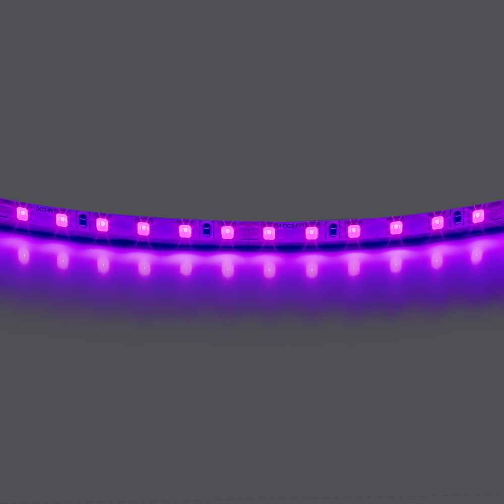 420518 Лента LIGHTSTAR LED 24V 12W 120leds/M 1600 LM/M фиолетовый IP20 1шт = 5м