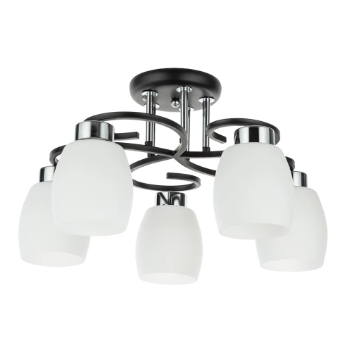 Купить Потолочная люстра Arte Lamp KRIT A4505PL-5BK
