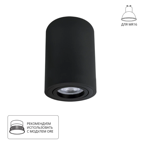 Купить Точечный накладной светильник Arte Lamp SENTRY A1566PL-1BK