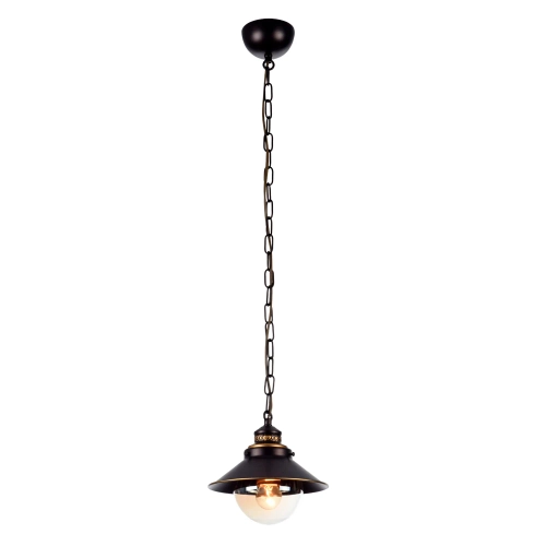 Купить Подвесной светильник Arte Lamp GRAZIOSO A4577SP-1CK