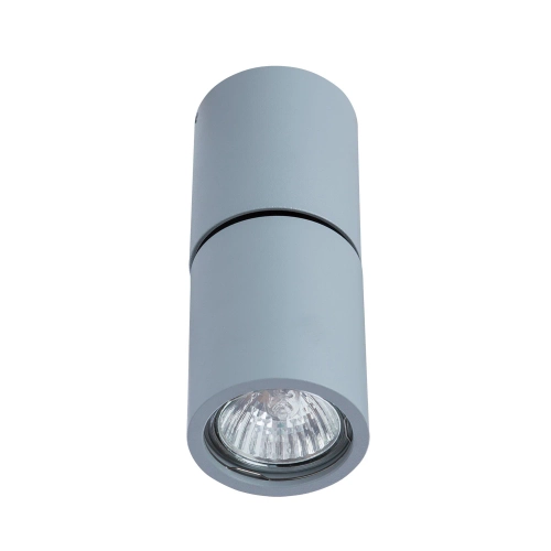 Купить Спот Divinare GAVROCHE POSTO 1800/05 PL-1