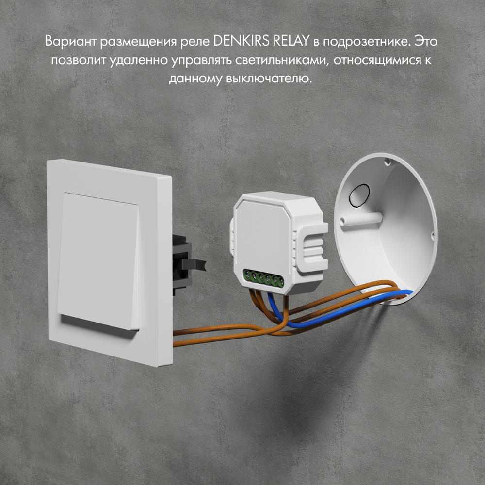 RL1001-SM/1 Одноканальное Wi-Fi реле-выключатель 1 x 2300 Вт / 250 Вт для LED