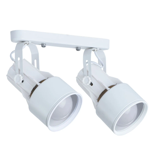 Купить Спот Arte Lamp LYRA A6252PL-2WH