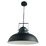 Подвесной светильник Arte Lamp MARTIN A5213SP-1BG