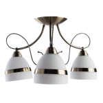 Потолочная люстра Arte Lamp NOEMI A6192PL-3AB